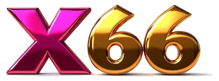 x66